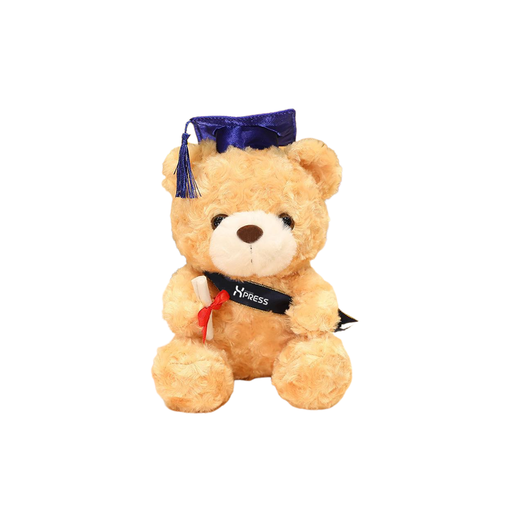 Plushie (teddy bear) - NANYANG XPRESS