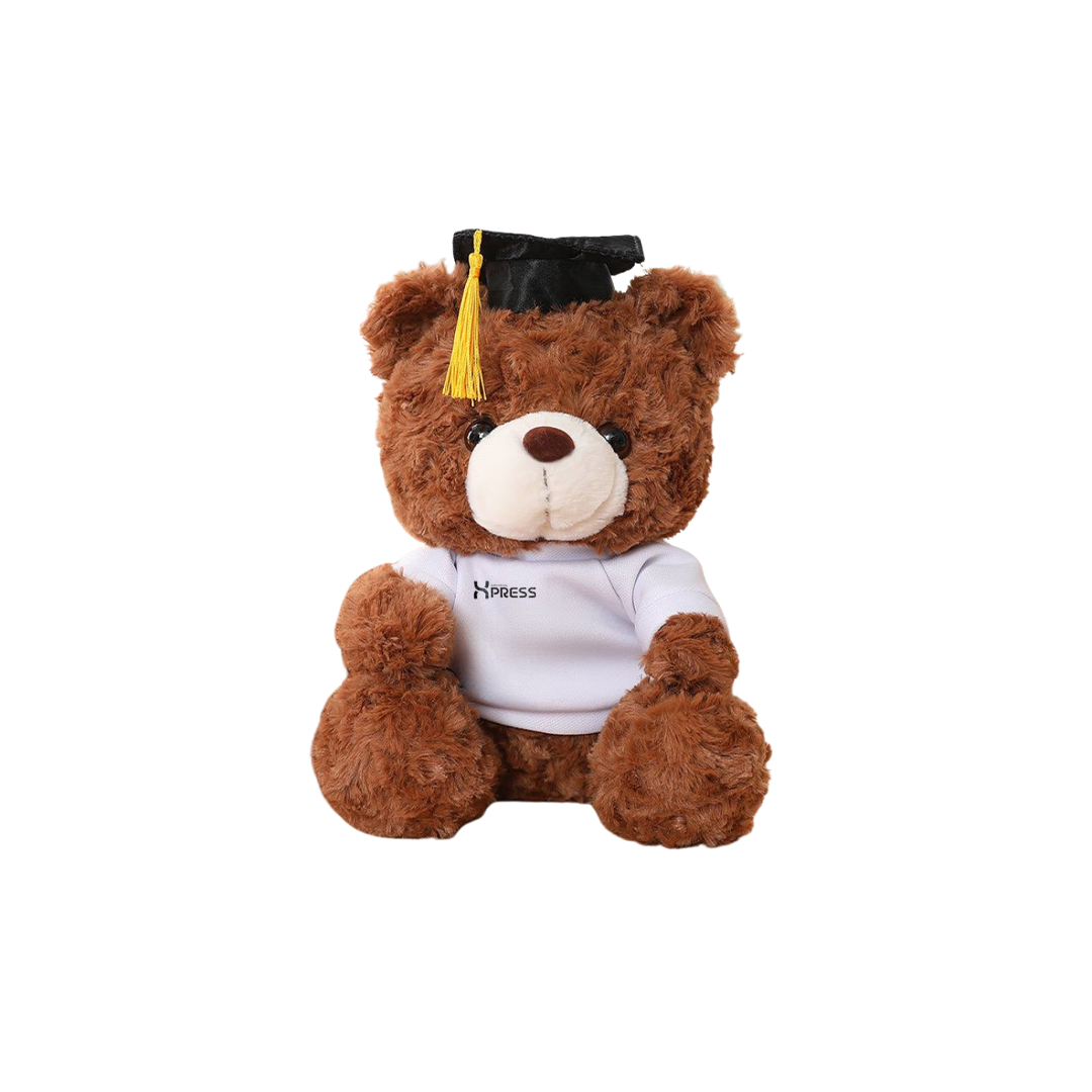 Plushie (teddy bear) - NANYANG XPRESS